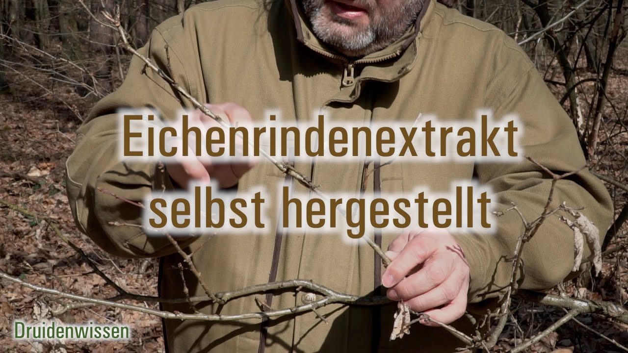 Eichenrindenextrakt selbst hergestellt