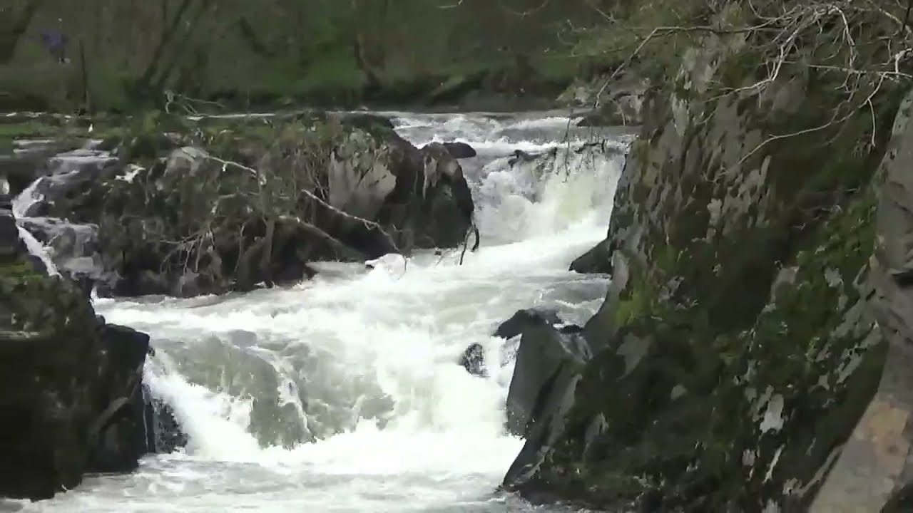 Cenarth  {Falls ] W Wales
