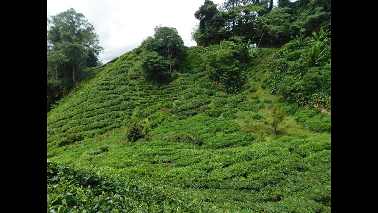 LE CAMEROUN ET SES SITES TOURISTIQUES