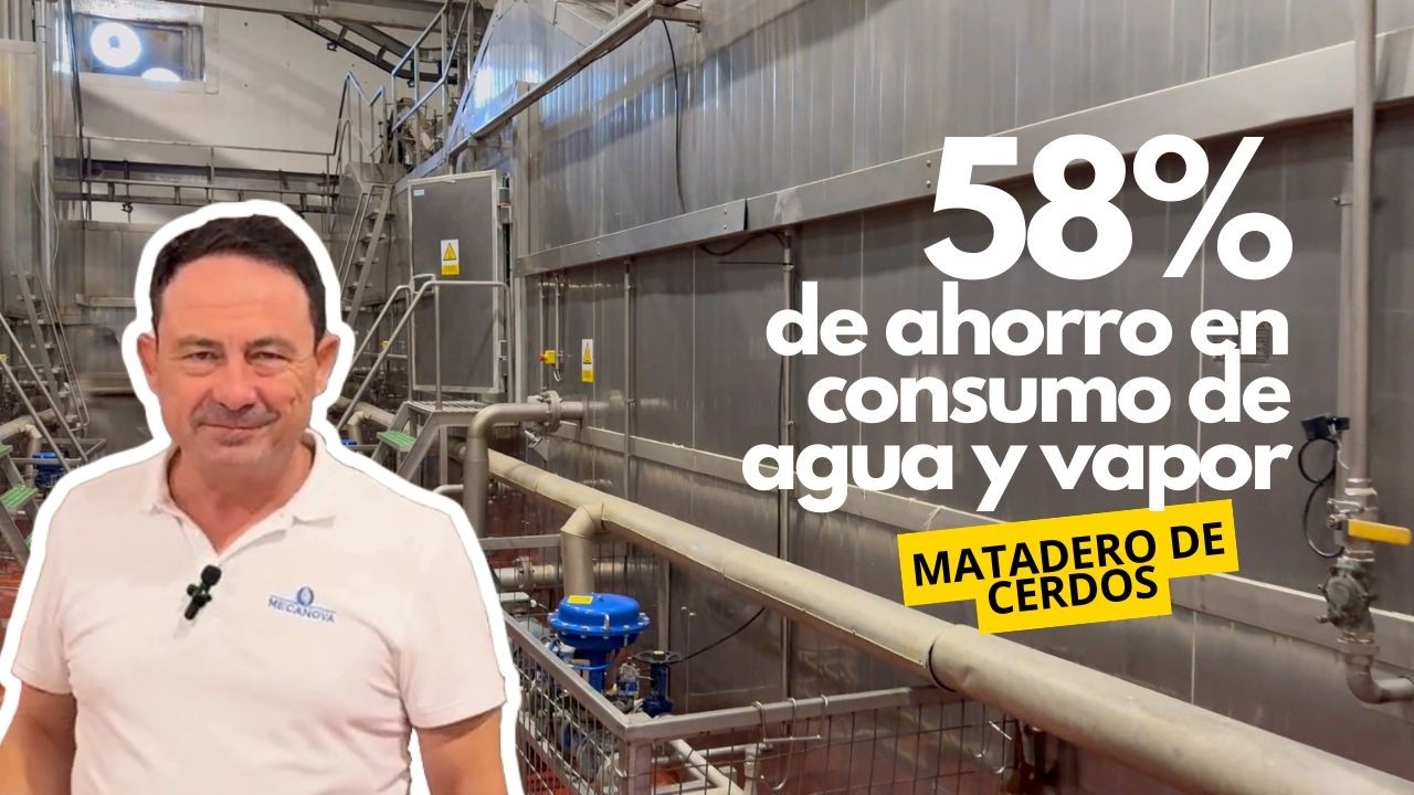 EXPERTO te explica TODO de un ESCALDE VERTICAL por DUCHAS