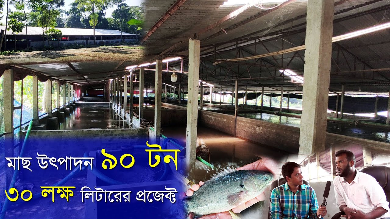 ৯০ টন মাছ উৎপাদন একসাথে | ৩০ লক্ষ লিটারের বায়োফ্লক প্রজেক্ট || জিহাদ ভাইয়ের #Biofloc project