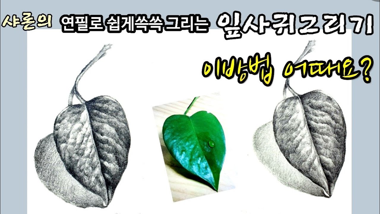 잎사귀 그리기 이방법 어때요?/기초 연필스케치/잎사귀 쉽게 그리는법