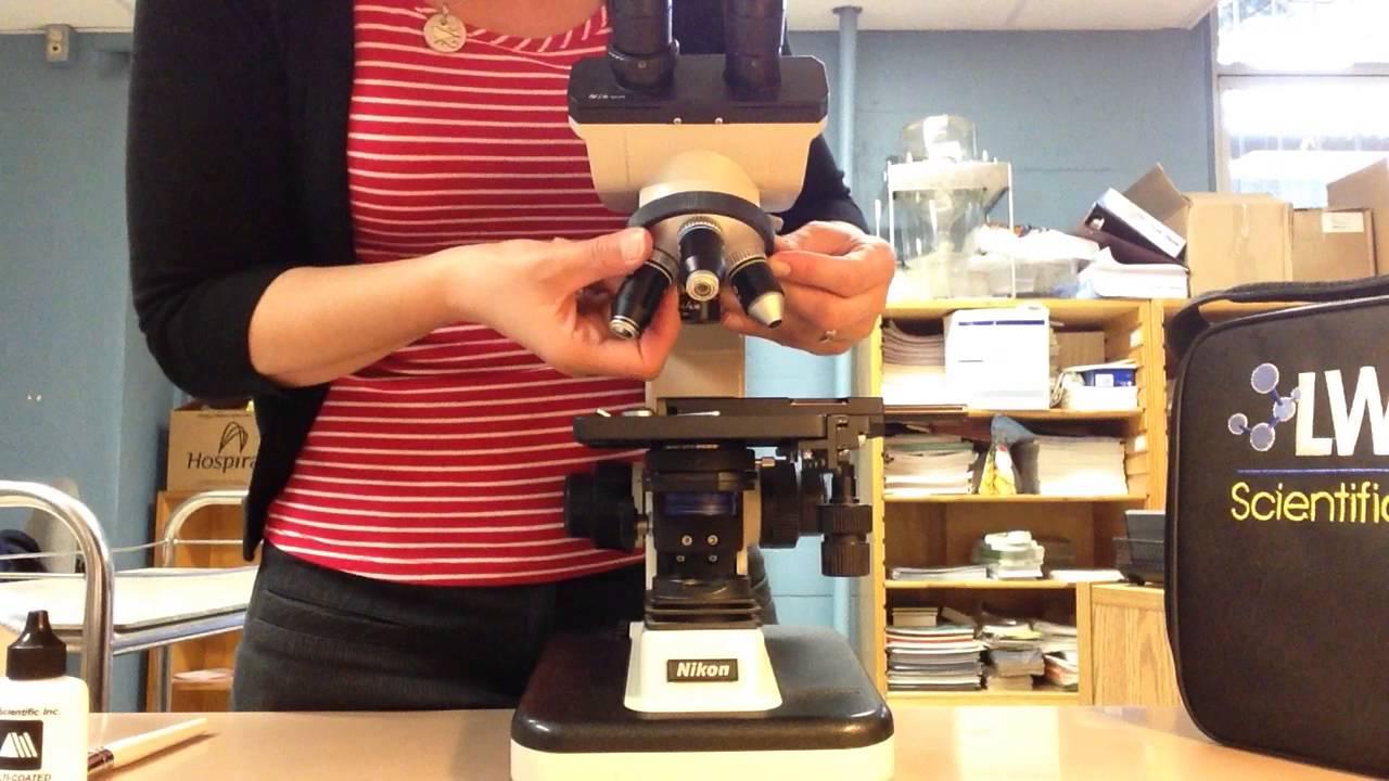 Microscope entretien