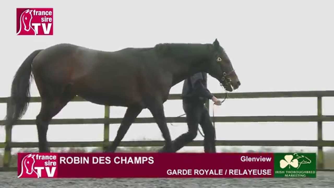 Glenview Stud - Irish Stallion Trail 2015