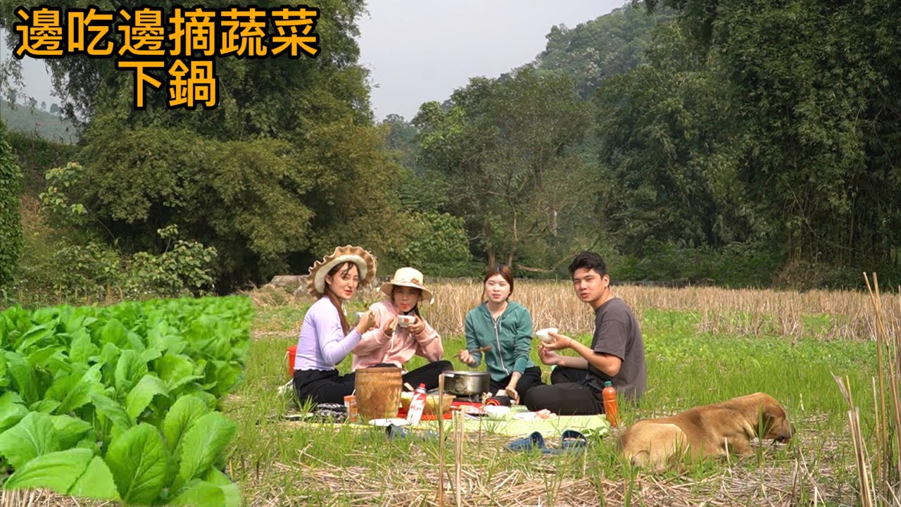 團隊帶鍋去阿輝家的蔬菜園吃火鍋，邊吃邊摘蔬菜下鍋，真的好方便。