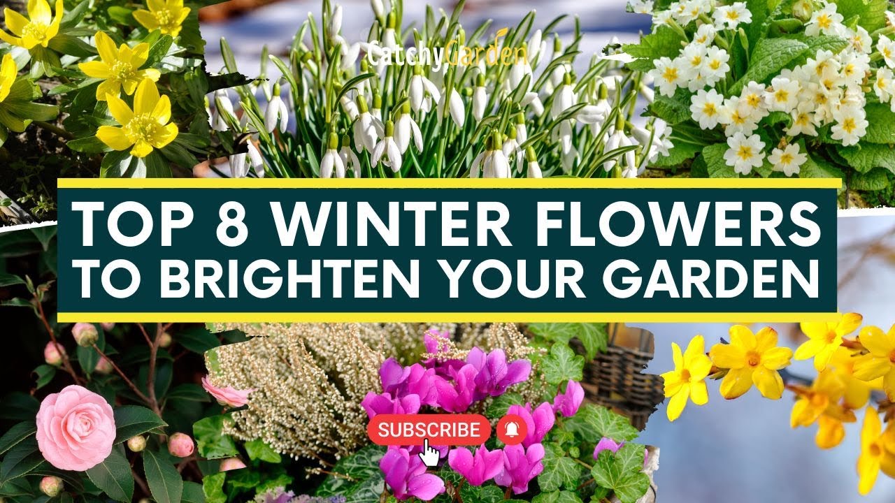 Top 8 Winter Flowers to Brighten Your Garden 🌺🌷🌸 // Gardening Tips