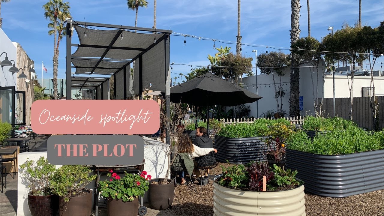The Plot Serves Up Garden-to-Table Dining Experience in Oceanside
