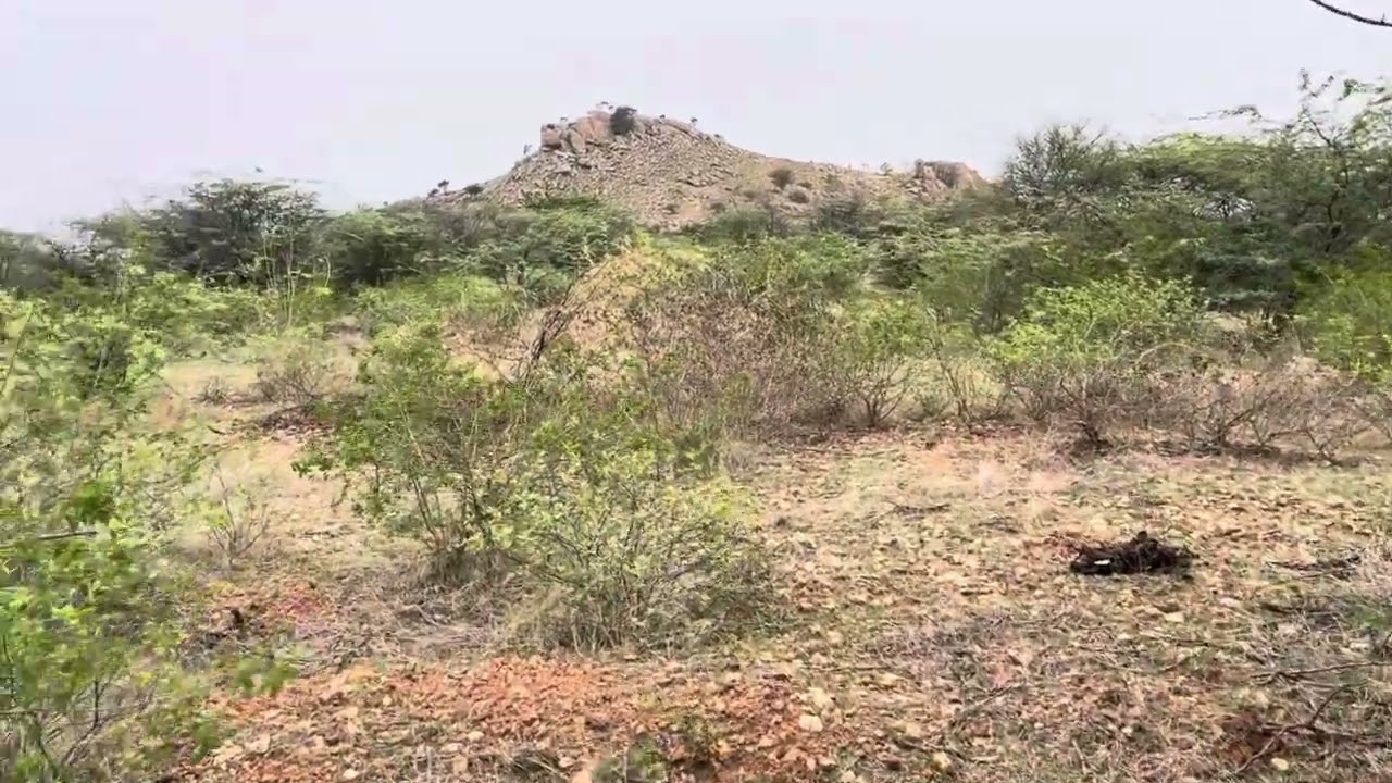 6.14 Acrs of dry land near by pavagada price 10 lac per Acrars Tumakur dis