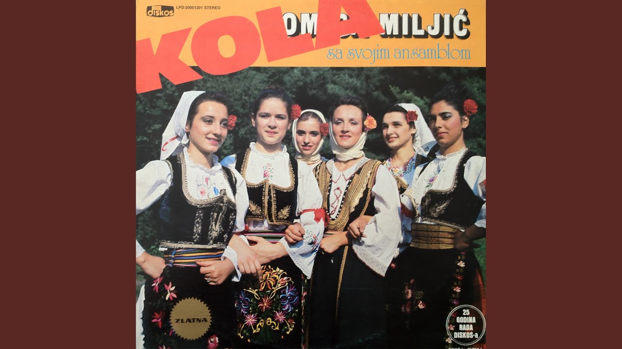 Povodjansko kolo (Accordion Music)