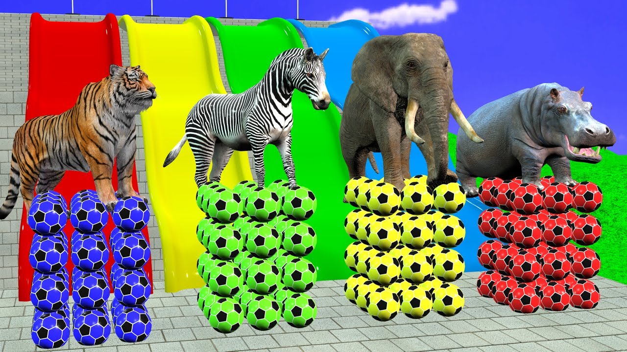 Funny 3D Animal Slide Gorilla Hippo Elephant Cow Level Game