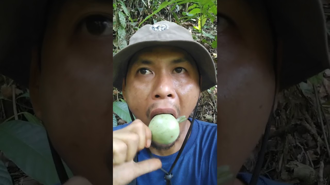 Buah hutan yang sangat mirip jambu batu