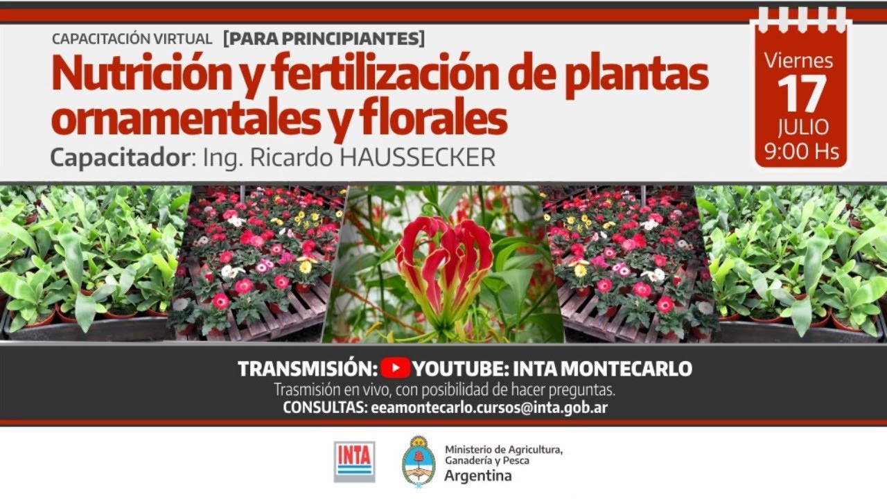 Nutrición y fertilización de plantas ornamentales y florales.