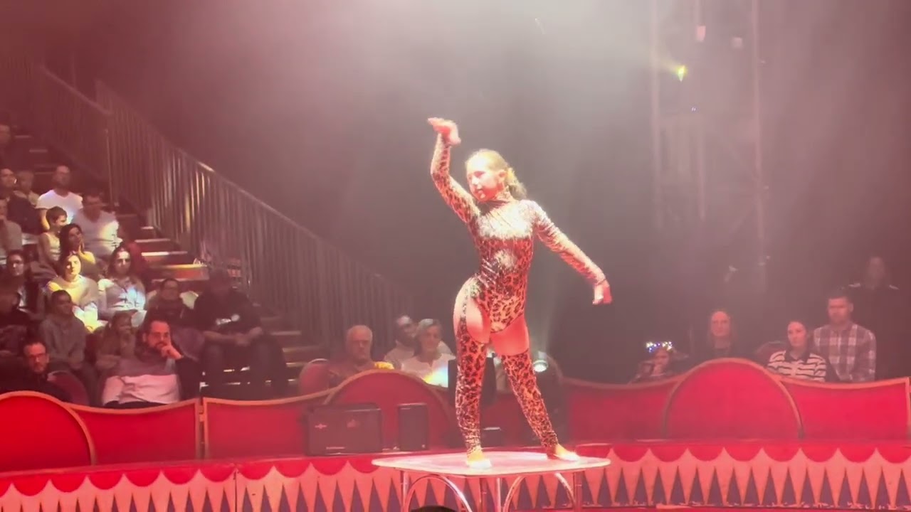 📍La Piazza X-Mas Live Show | Zirkus in Hamburg