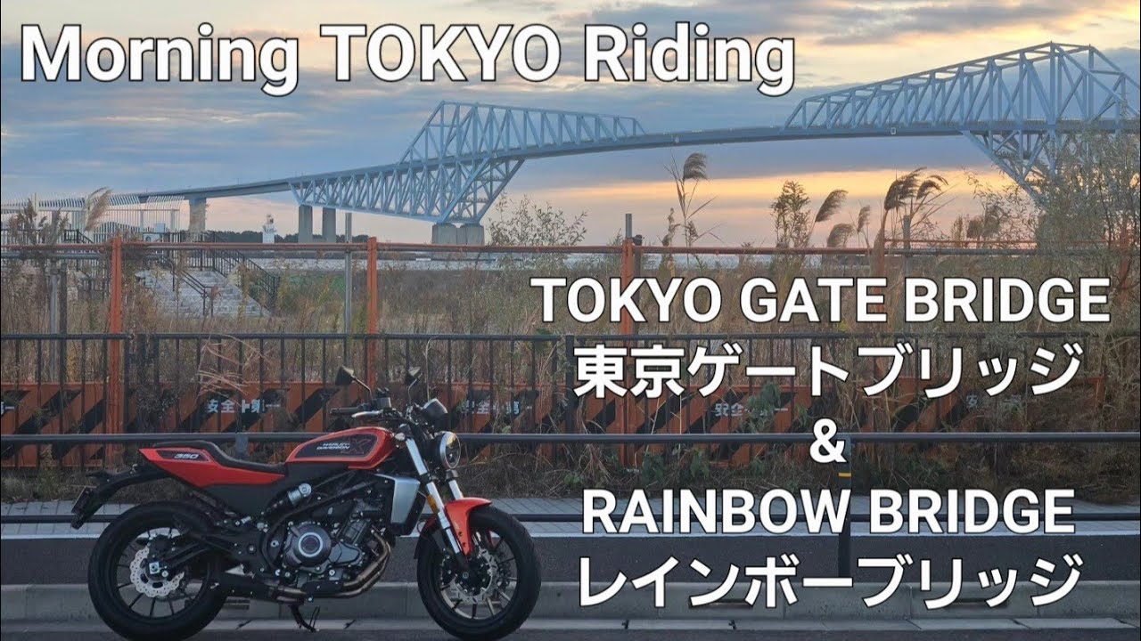 [中免ハーレーX350]4K TOKYO Morning Ride #2 東京早朝ソロツーリング by Harley-Davidson　X350[Engine Sound Only]