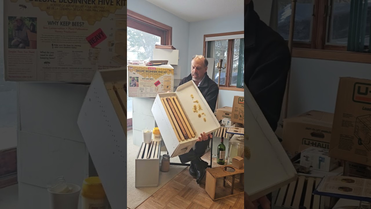 Interested in Sustainable Backyard Beekeeping in Southeastern Michigan?