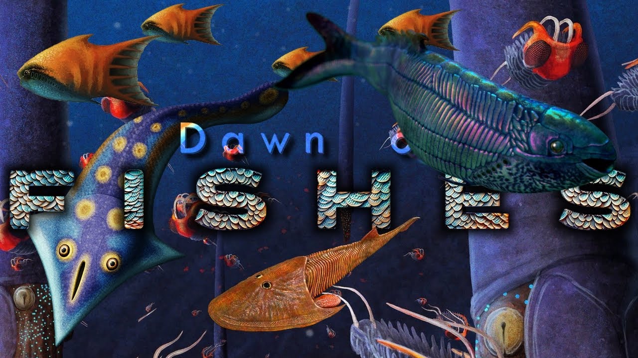 Dawn of FISH