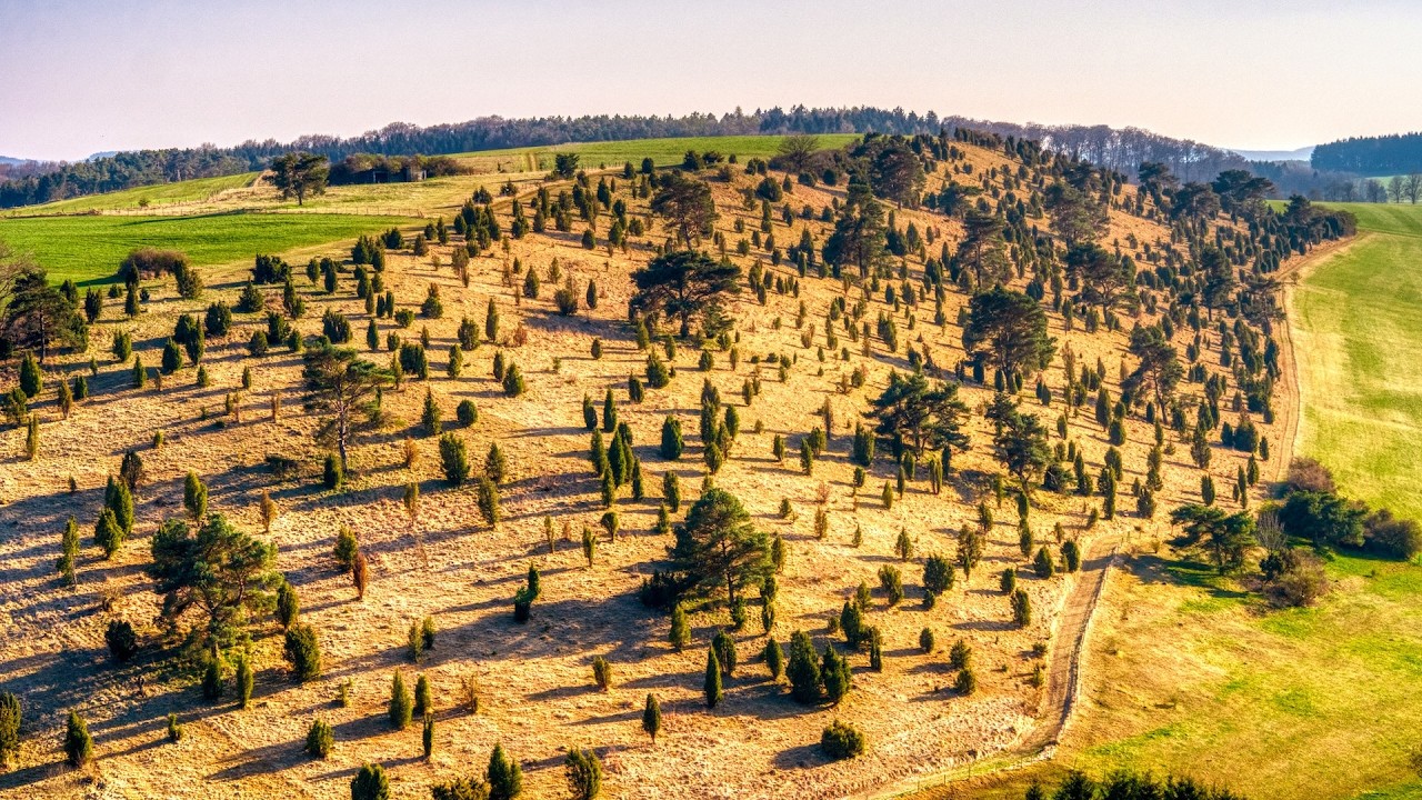 Vulkaneifel, voorjaar 2025 - deel 2