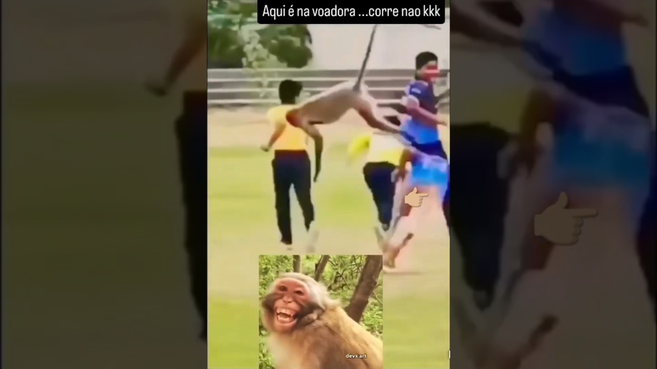 O homem macaco sem alma, malandro brasileiro 🇧🇷🍌 #memes #memesbr #humorbrasil #policia