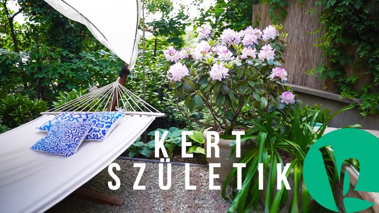 Hogyan készül egy városi mini-kert? Tervezéstől beérésig