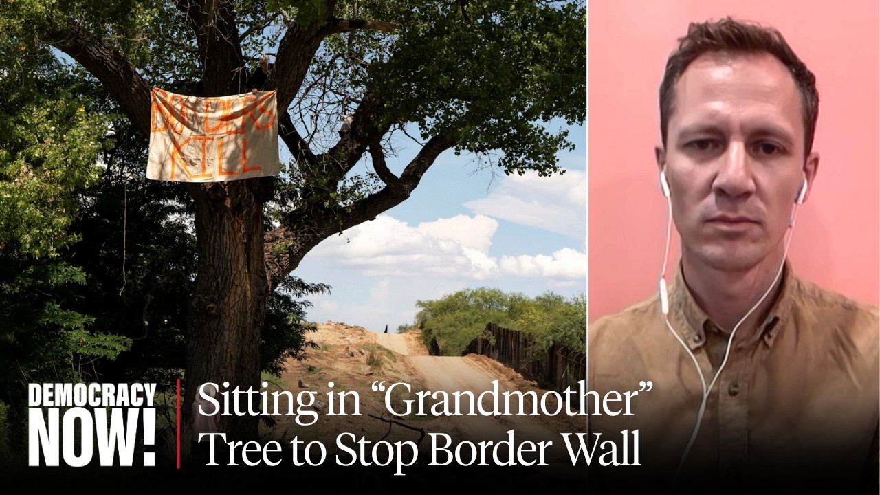 Activist Tree-Sit in Ancient Cottonwood Continues Against Border Wall Construction in Arizona