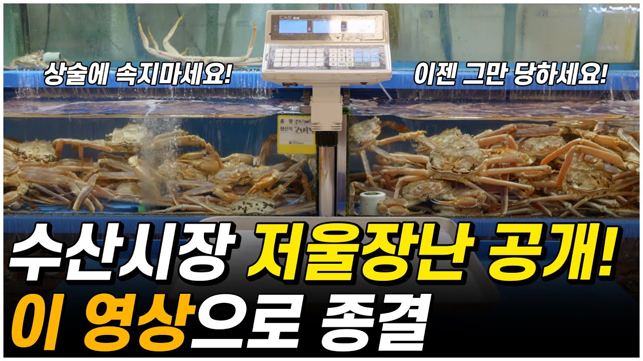 수산시장 저울치기 방법 및 종류! 이제 그만 당하세요!