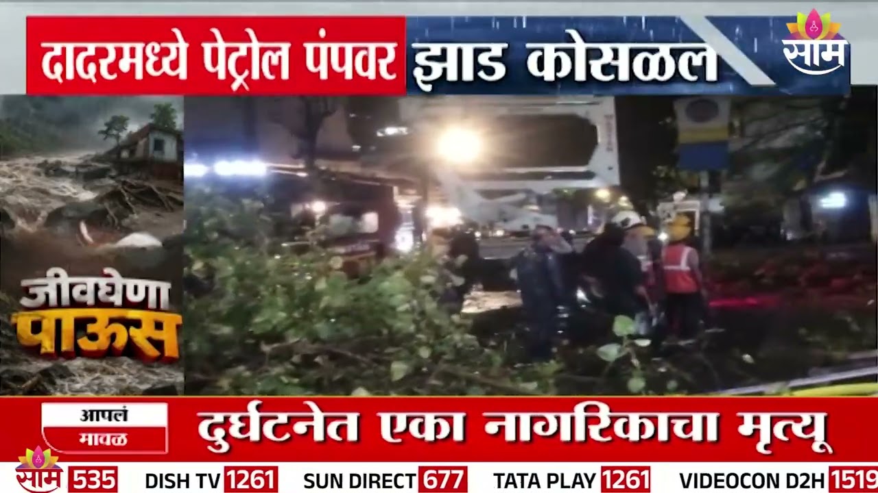 दादरमध्ये पेट्रोल पंपावर भलंमोठं झाड कोसळलं! थरारक घटना | Dadar Tree Collapsed | Mumbai Rain News