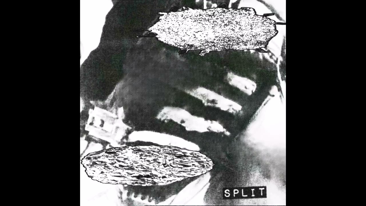 Rabies Induced Mania / Septic Substance - split