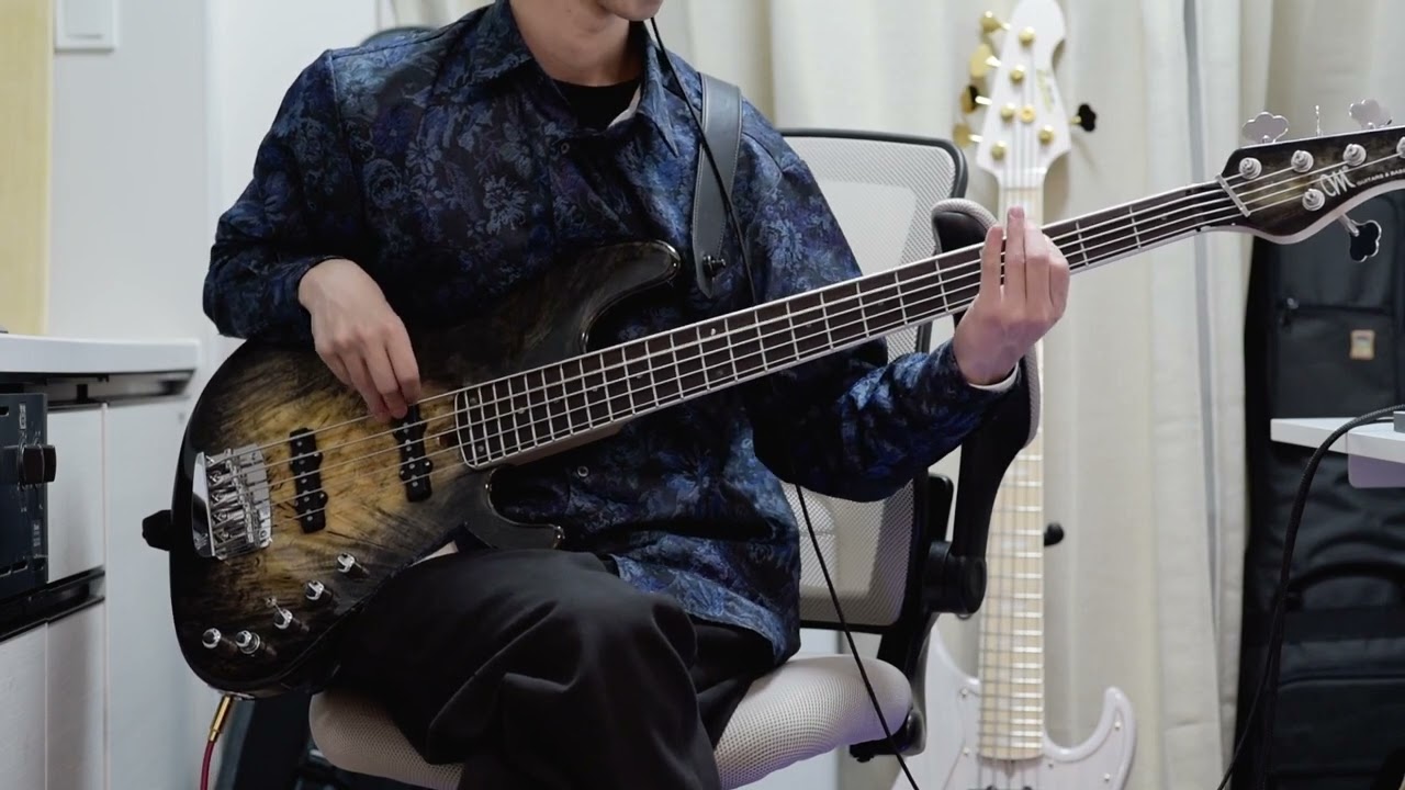 Evanescence「Bring Me to Life」弾いてみた【ベース】 Bass Cover