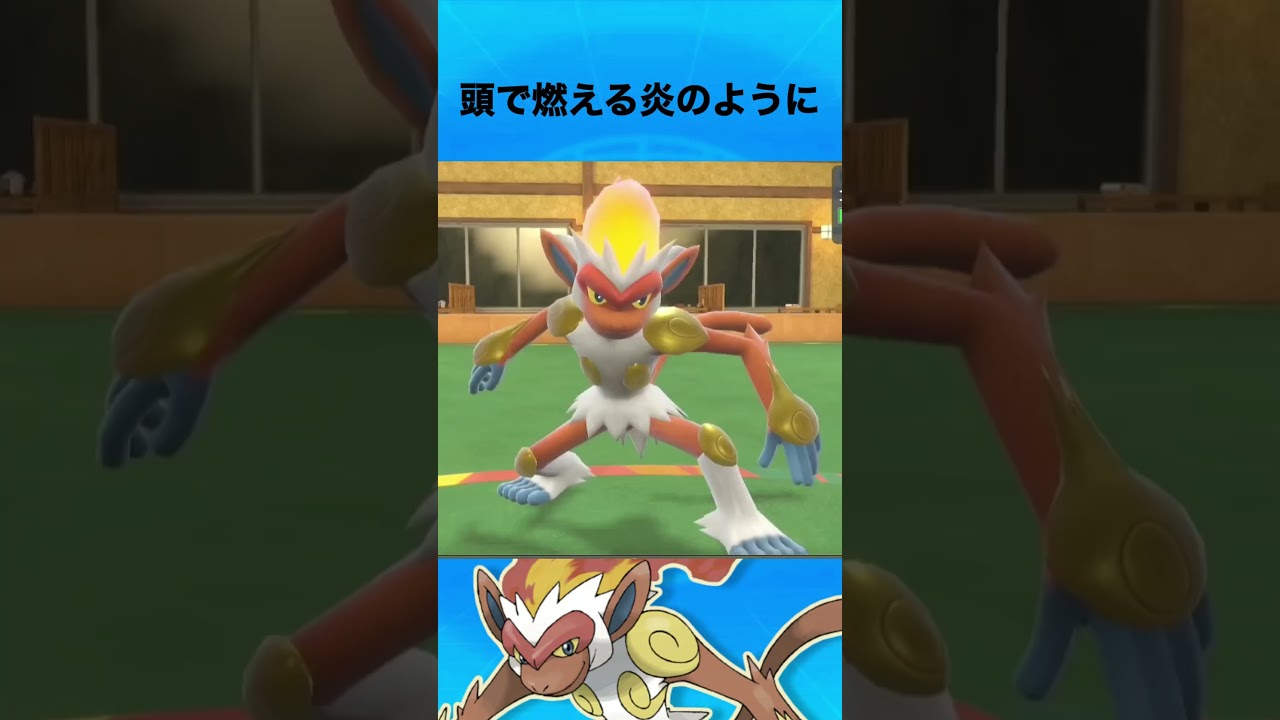 ゴウカザルについて #ポケモン #ゴウカザル