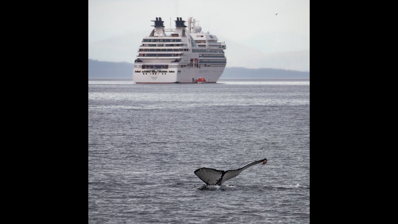 Our Alaska Trip August 2024 (Seabourn Odyssey and mainland Alaska)