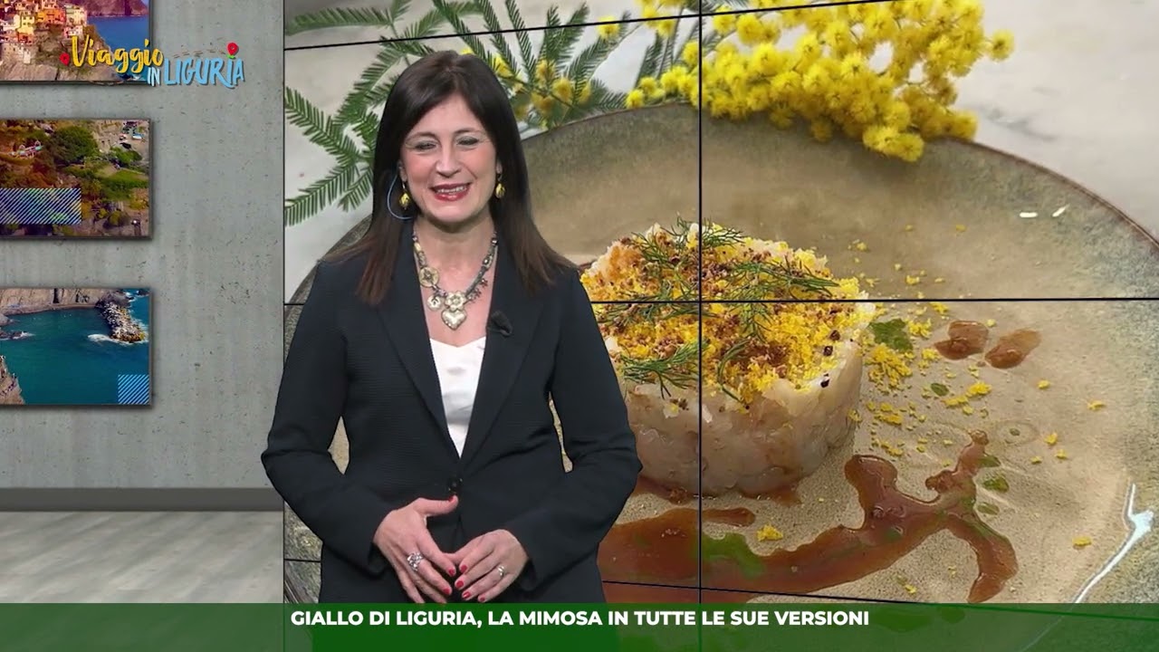 Viaggio in Liguria, la mimosa in tutte le sue versioni