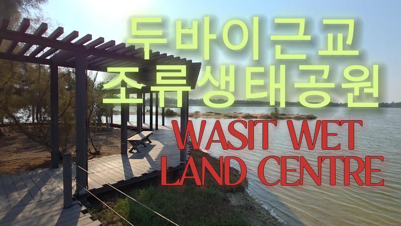 두바이근교 WASIT WETLAND