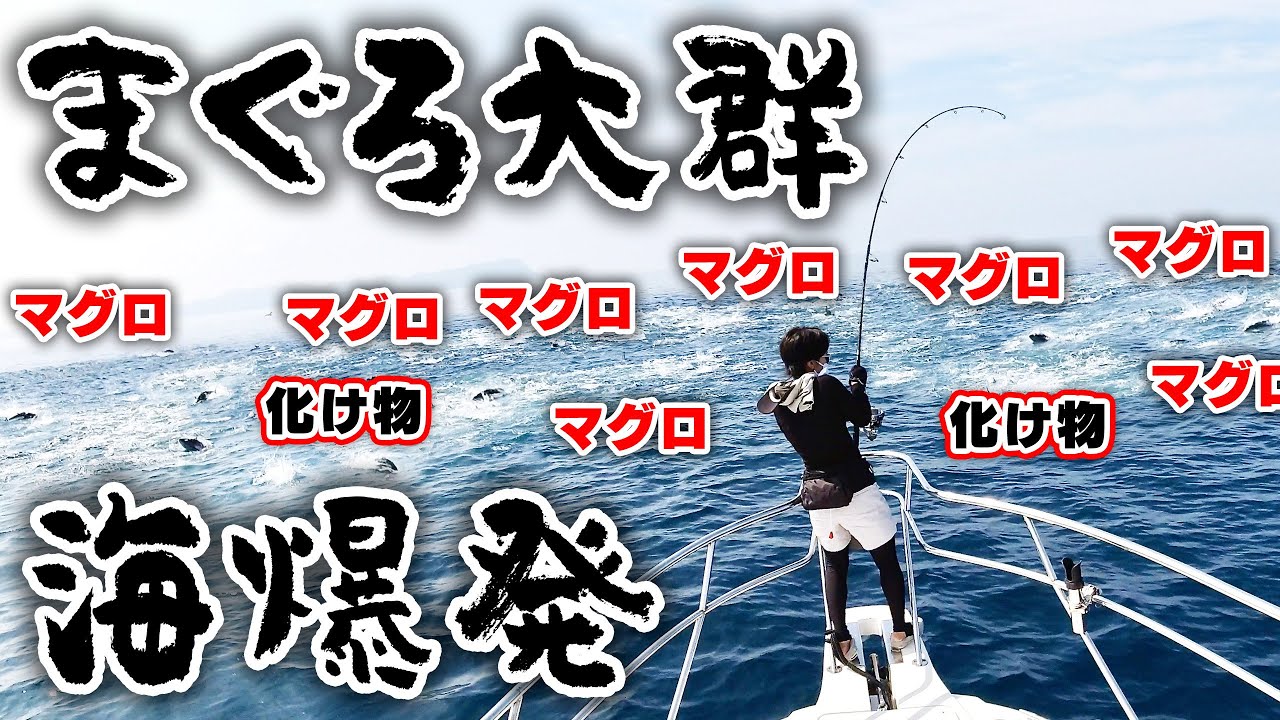 船長佐藤偉知郎、釣り人スーパーナブラの前にマグロの群れ！津軽海峡龍飛沖の奇跡