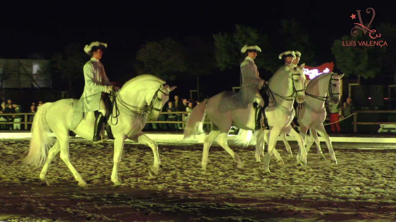 Gala Equestre  Lisboa  - Luis Valença 2016