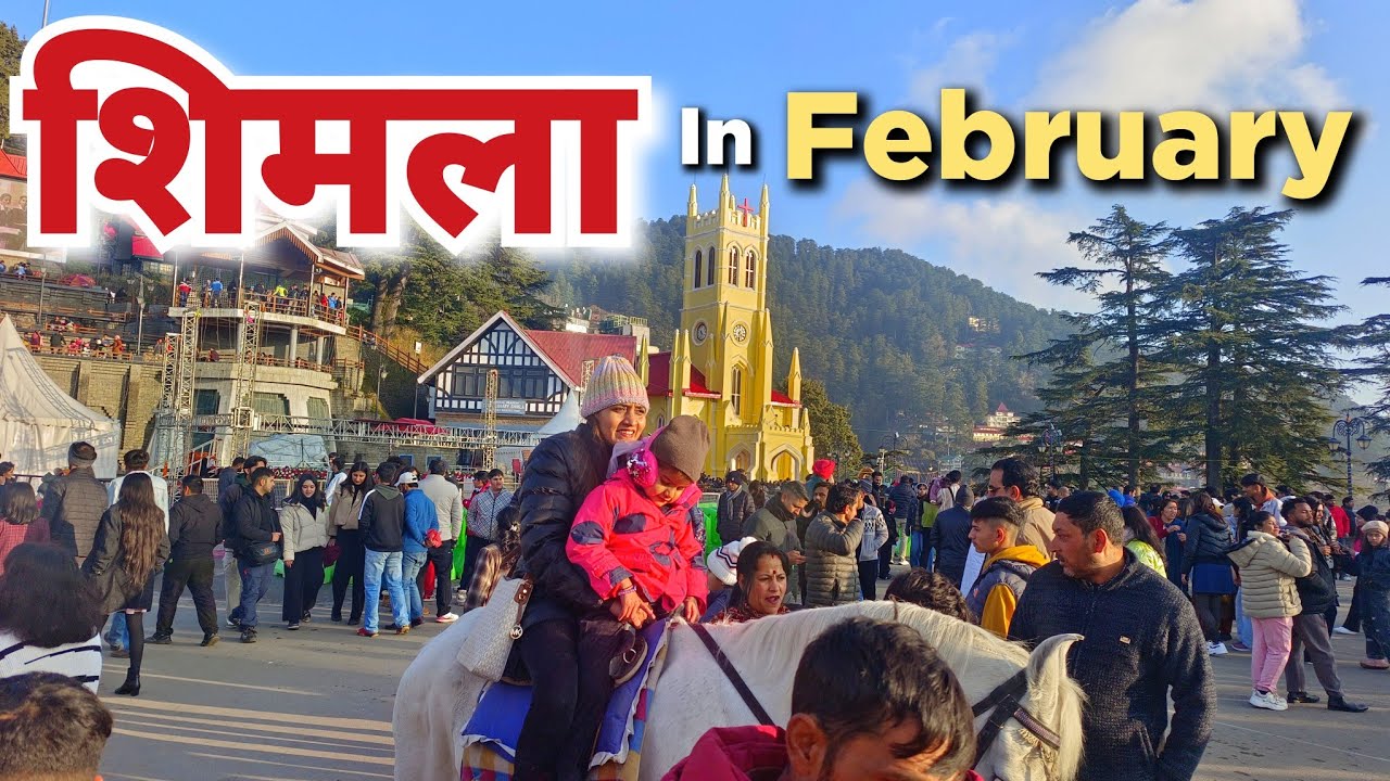 Shimla || Shimla in February | Shimla Latest Video | Shimla Himachal Pradesh #shimlatouristplaces