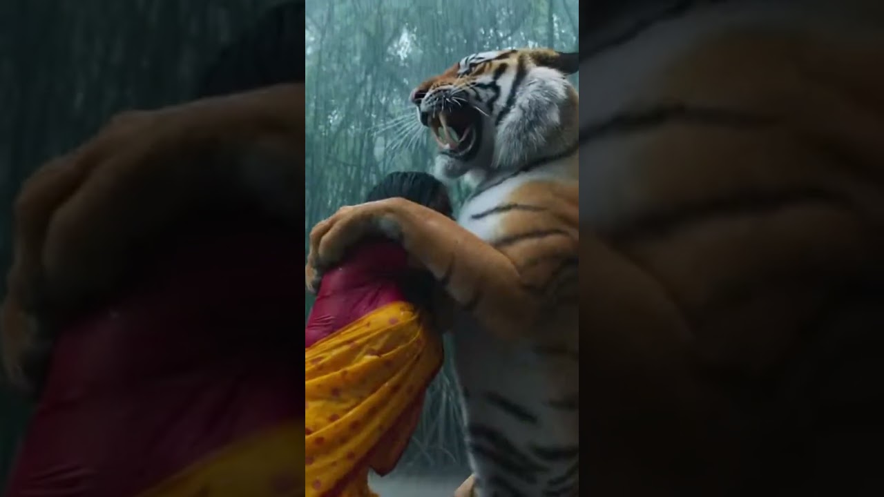 On Camera 🐅  Tiger Attacks Woman Near Home! 😱 High-Tension Moment 