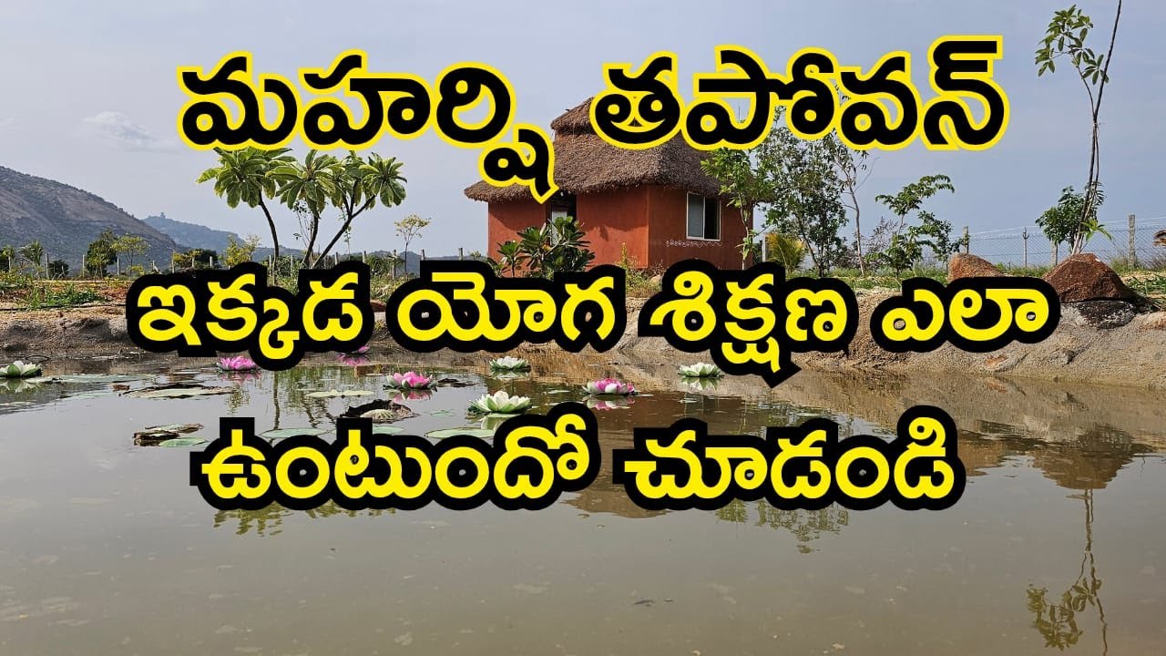 ఇక్కడ యోగ శిక్షణ అజరామరం -మహర్షి తపోవనం లో సాధకులు పొందిన అనుభవాలు -