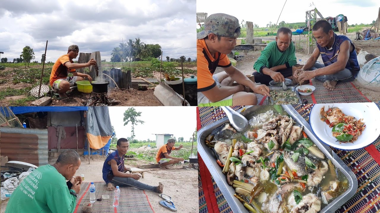 ครัวเด๊ะเด๊ะ ต้มส้มปลาค่อใหญ่โตไข่ๆใส่ใบชะมวงอ่อนยำพริกสด ตำแจ่วปลาแดกฉีกต่อนนัวๆ ชีวิตบ้านๆคนนอนนา