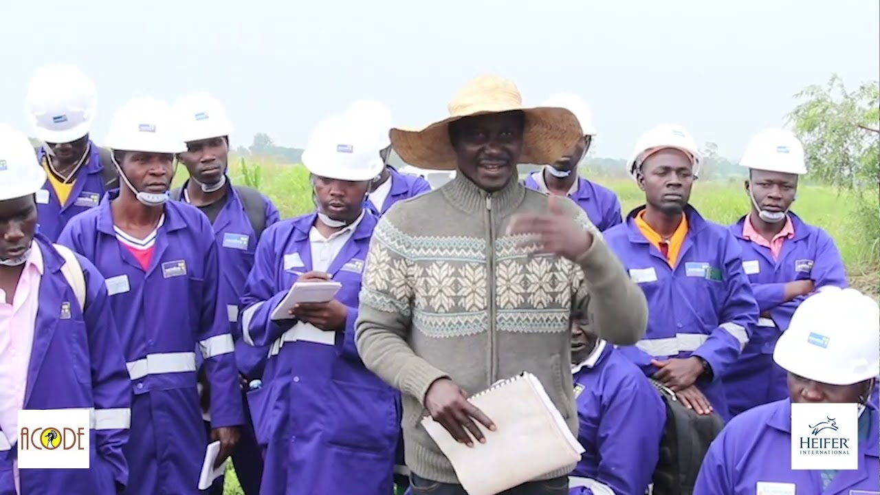 Uganda's Renewable Energy policy frame work for productive Use of Solar Energy.(PUSE)