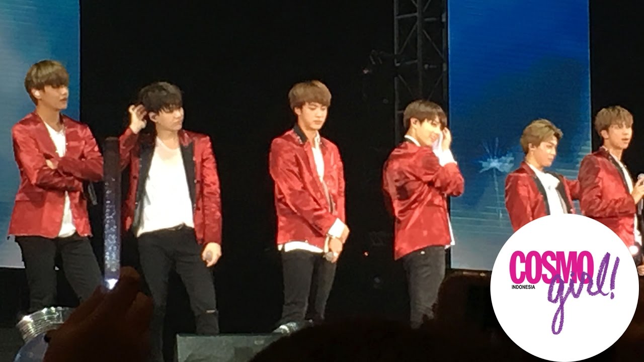 BTS - The Wings Tour 2017 in Jakarta (Fan Cam)