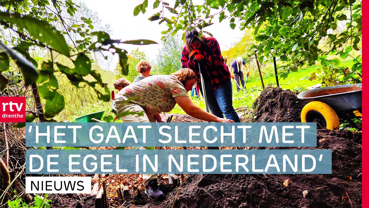 Elim heeft eerste egelburcht van Nederland & wereldrecord simultaandammen gehaald | RTV Drenthe