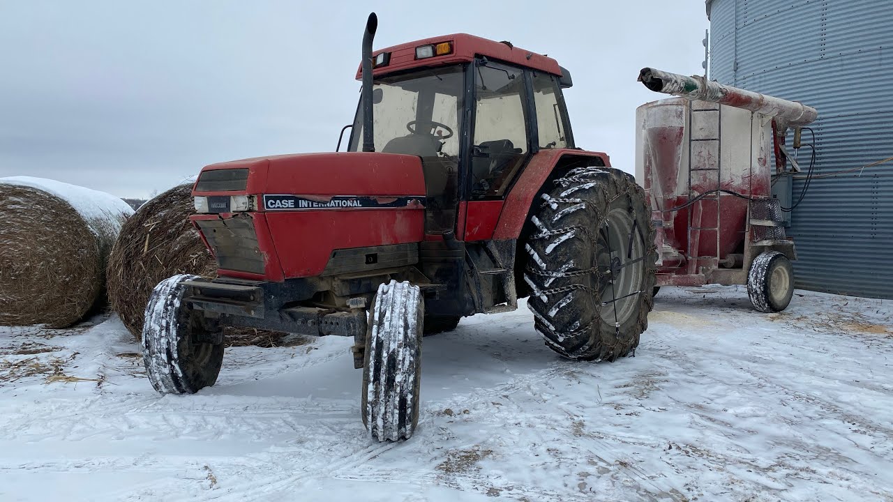 Hay grinding, and chores