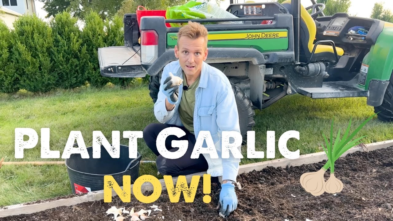 How to Plant GARLIC in the FALL 🧄 🍂 with Wyse Guide!