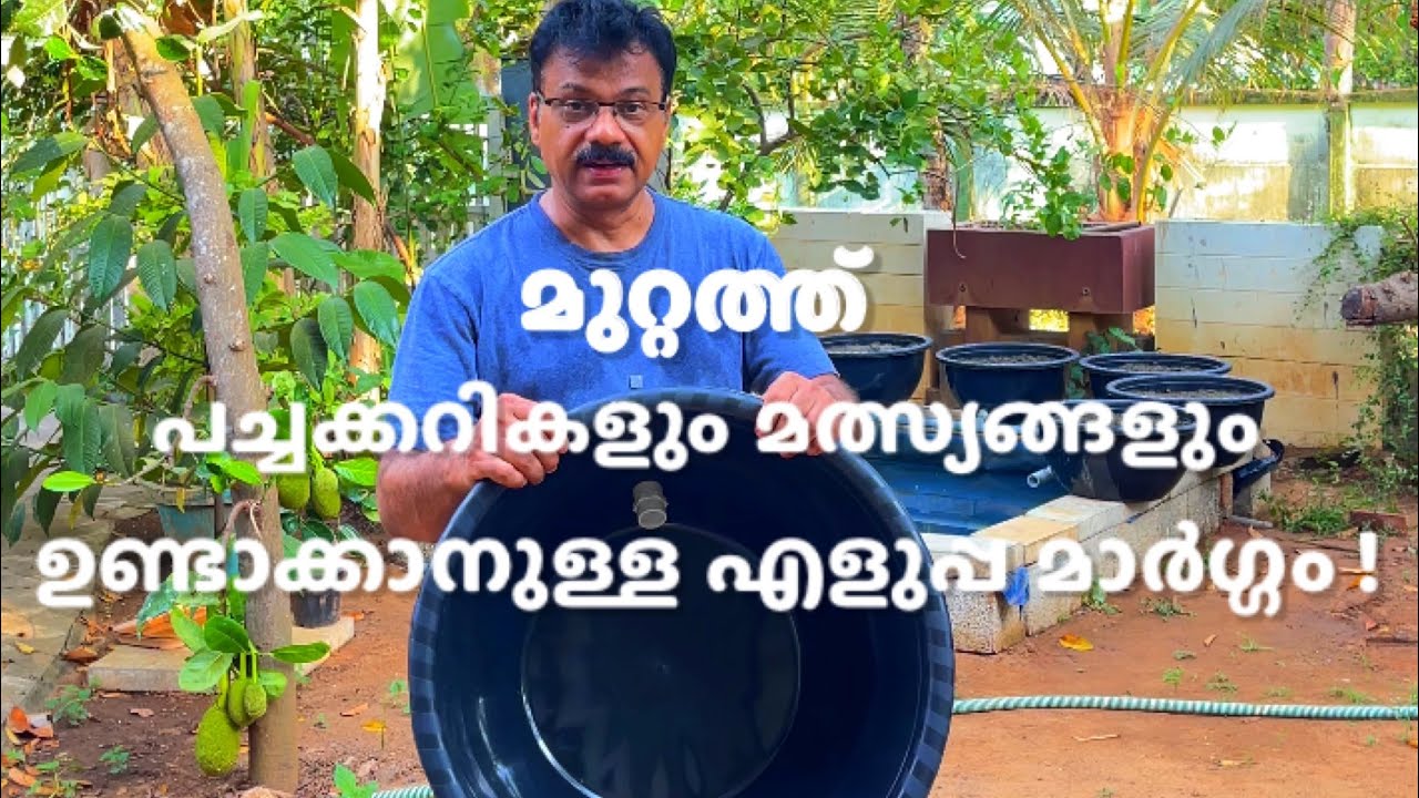 പച്ചക്കറികൾ ധാരാളം ഉണ്ടാക്കാൻ ഒരു സിമ്പിൾ സിസ്റ്റം !(കോൺക്രീറ്റ് കട്ടകളുടെ അളവ് 8 ഇഞ്ചാണ് )
