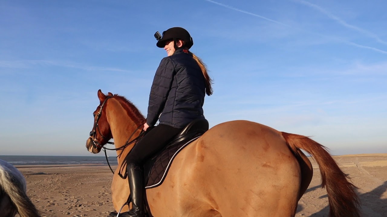 RACEN op het STRAND met KRACK & JULES! + KRACK blijft LOGEREN!