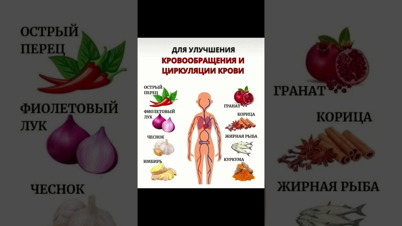 2 октября 2025 г.