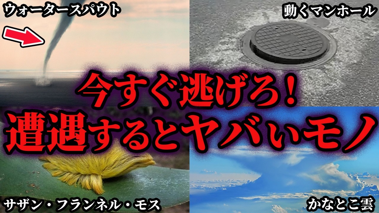 【ゆっくり解説】これを見たら今すぐ逃げろ！遭遇するとヤバいモノ6選