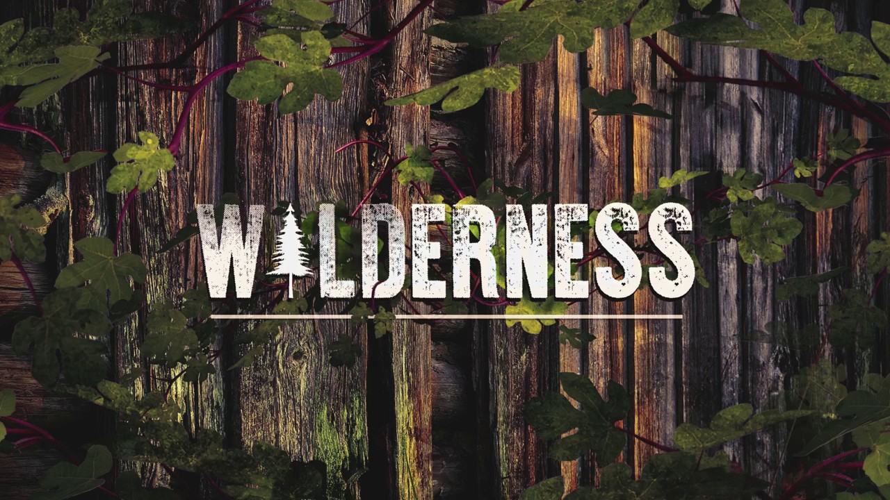 Wilderness - The Unspoken (Official Music Video)