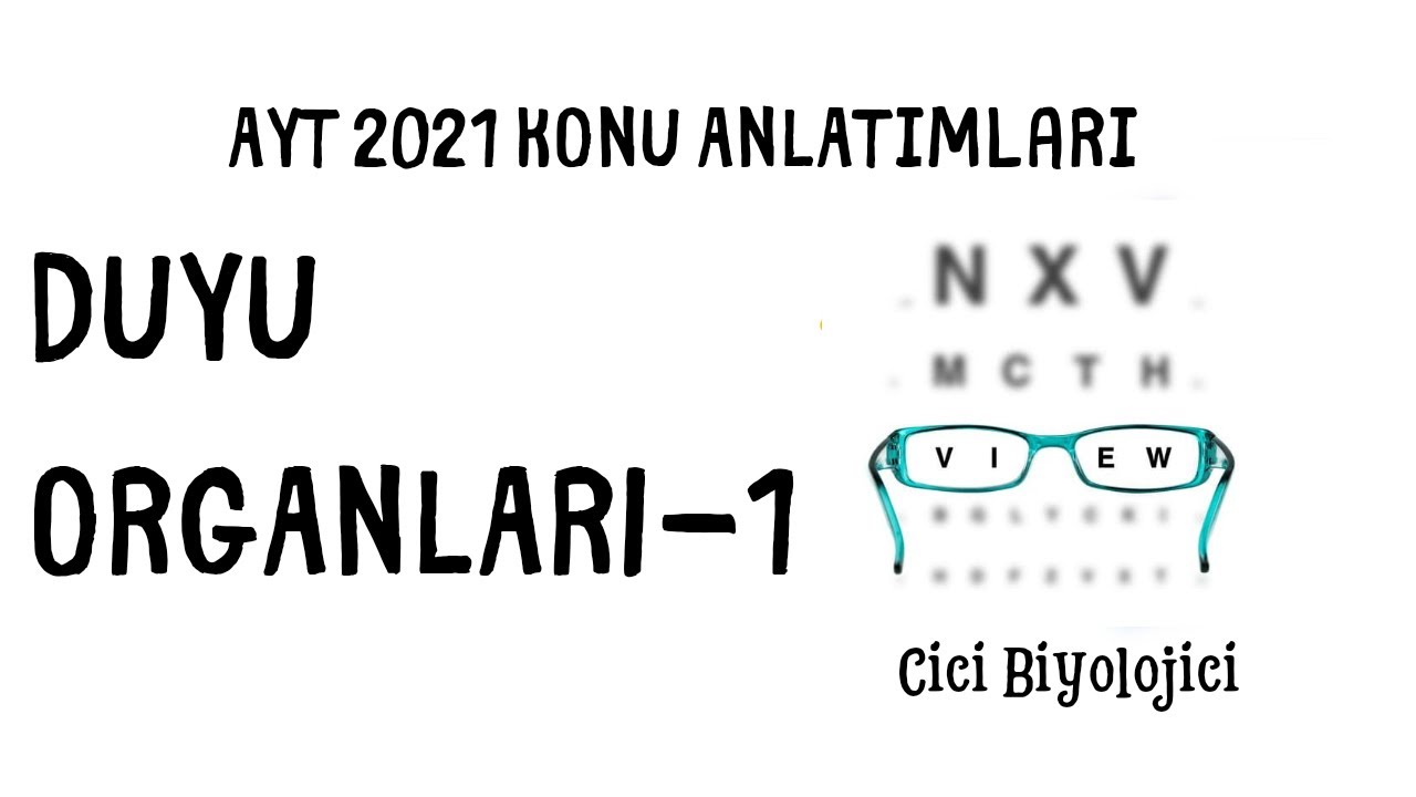 Duyu Organları-1
