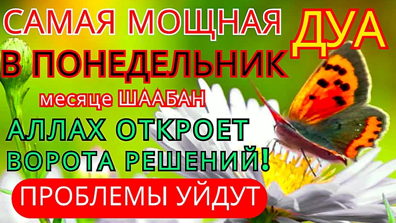 САМАЯ СИЛЬНАЯ дуа в ПОНЕДЕЛЬНИК! Все желания сбываются! Даёт богатство, успех и счастье!! 🤲☝🏻